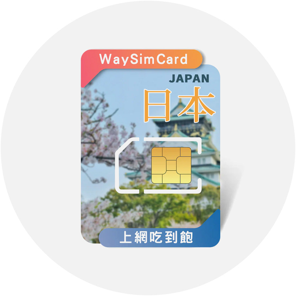 eSIM / 實體SIM卡